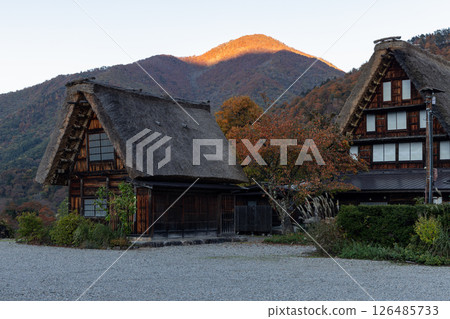 Traditional gassho style houses in Shirakawa Go Japan illuminated by the last warm rays of sunset Traditional gassho style houses in Shirakawa Go Japan illuminated by the last warm rays of sunset 126485733