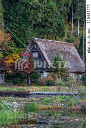 Traditional wooden house with steep thatched roof in Shirakawa-go, Gifu, Japan 126485735