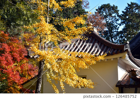 Hoshoji Temple surrounded by autumn leaves 126485752