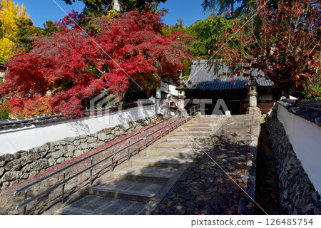 Hoshoji Temple surrounded by autumn leaves 126485754