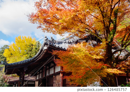Hoshoji Temple surrounded by autumn leaves Hoshoji Temple surrounded by autumn leaves 126485757
