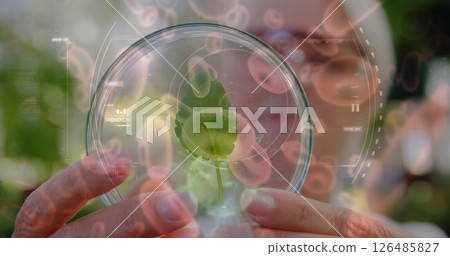 Scientist examining plant in petri dish, conducting research in laboratory Scientist examining plant in petri dish, conducting research in laboratory 126485827