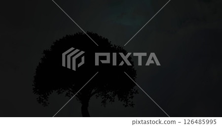 Silhouette of tree against dark sky, creating serene and mysterious atmosphere Silhouette of tree against dark sky, creating serene and mysterious atmosphere 126485995