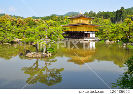 北山六園禪寺 金閣寺 北山六園禪寺 金閣寺 126486663
