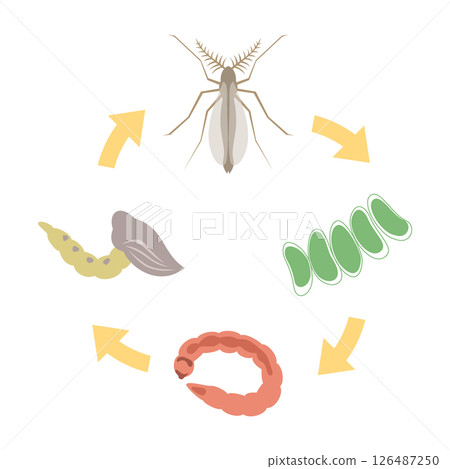 搖蚊的生活 搖蚊的生活 126487250