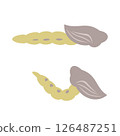 Chironomid pupa 126487251