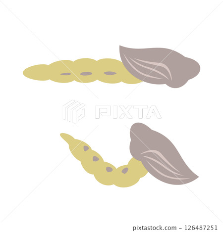 搖蚊蛹 搖蚊蛹 126487251