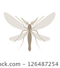 Muska 126487254