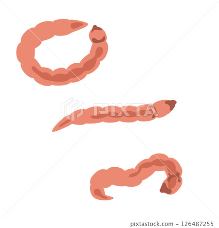 Musca的幼蟲 126487255