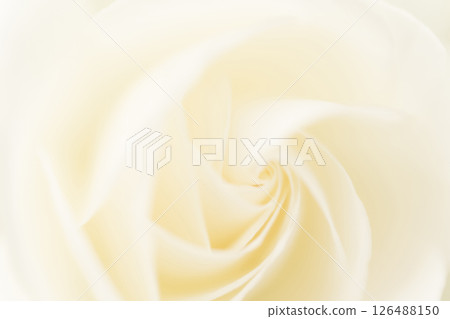 Rose/petal background material Rose/petal background material 126488150