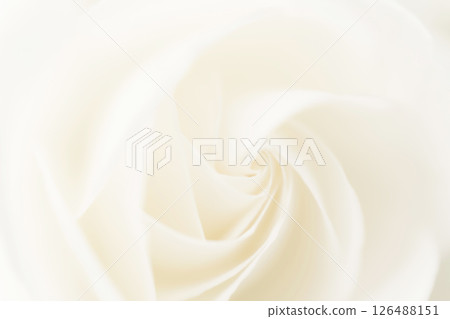 玫瑰/花瓣背景素材 玫瑰/花瓣背景素材 126488151