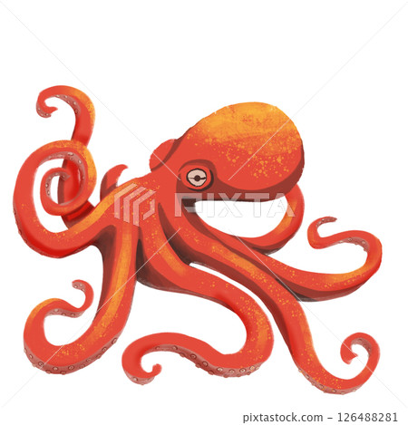 png drawing of sea ocean voyage - red octopus 126488281