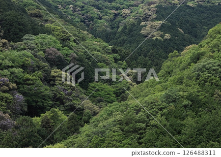 春天的山 春天的山 126488311