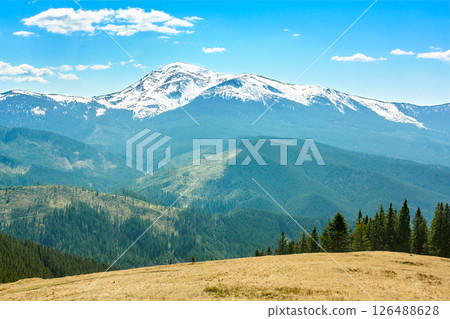 Mountain Landscape with Snowy Peaks and Green Forest 126488628