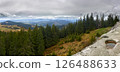 Mountain Panorama with Forests Rocks and Snowy Peaks 126488633