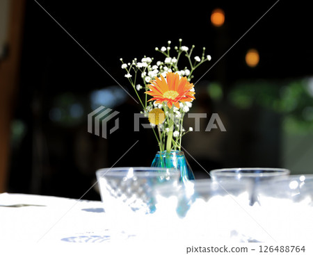 Gerbera and blurred grass 126488764
