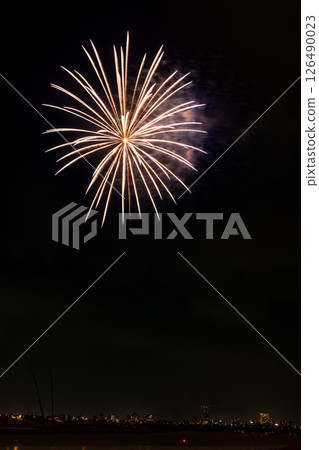 Edogawa Fireworks Festival Kanto 126490023