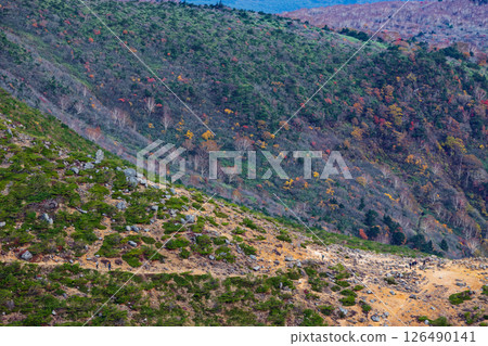 A view of the autumn leaves on the mountainside of Mt. Adatara and the hiking trail towards Kurogane hut 126490141
