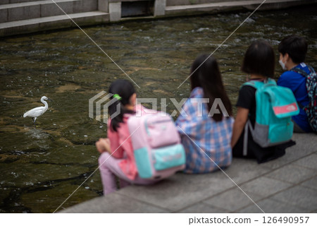 Cheonggyecheon Stream, public urban park in downtown Seoul, capital of South Korea Cheonggyecheon Stream, public urban park in downtown Seoul, capital of South Korea 126490957