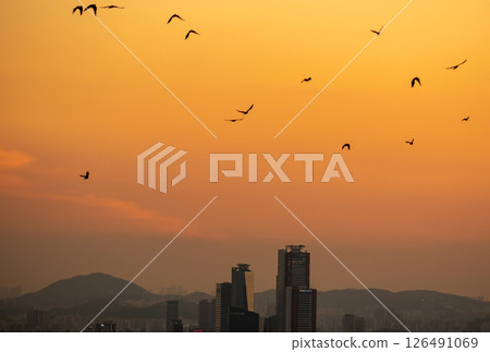 Urban sprawl cityscape of Seoul, capital of South Korea 126491069