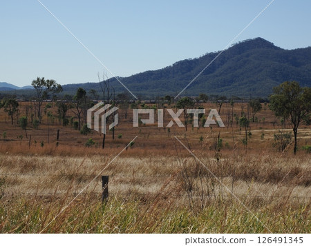 Scenery along the A1 St. Lawrence Rd, Queensland, Australia 126491345