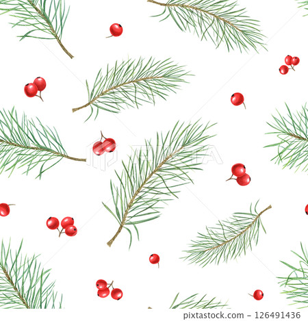 Delicate fir branches and red berries watercolor seamless pattern isolated background. Christmas ornate for festive wrapping paper, textile designs, holiday decorations, cozy home decor 126491436