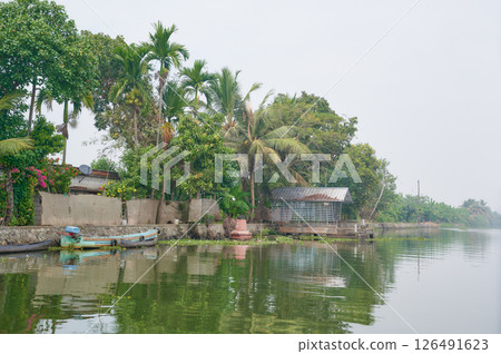 Backwaters near Alappuzha, Kerala, South India 126491623