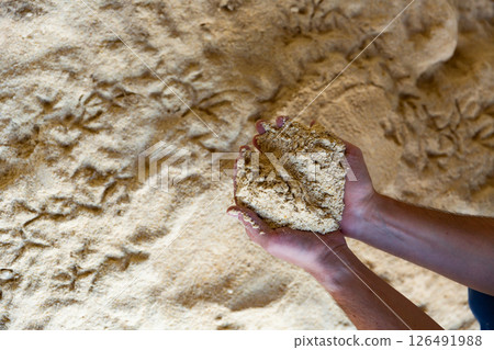 Animal feed - corn flour in the hands of farmer Animal feed - corn flour in the hands of farmer 126491988