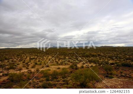 Early Spring Landscape Sonoran Desert Arizona Early Spring Landscape Sonoran Desert Arizona 126492155