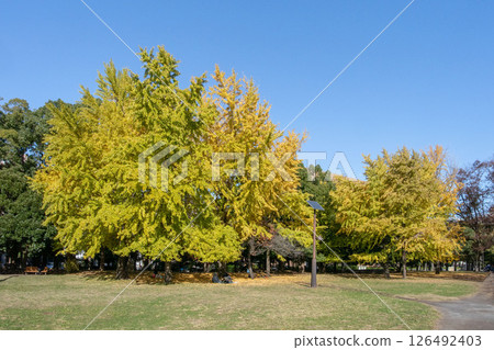 Kiyosumi Park in Koto Ward, Tokyo 126492403