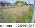 A small field next to the house 126493424
