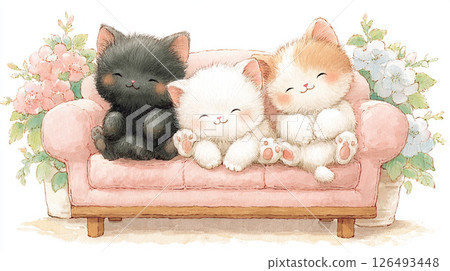 cat, kitty, pussy 126493448