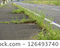 Beautiful flowers growing on the roadside in the countryside 126493740