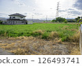 A grassy vacant lot in a residential area 126493741