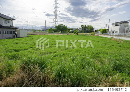 Large vacant lot and house Large vacant lot and house 126493742