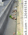 An open drain with fallen leaves 126493744