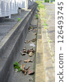 A gutter with fallen leaves and trash 126493745