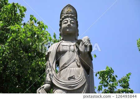Fuse Kannon statue (Kashiwa City, Chiba Prefecture) 126493844