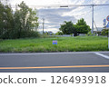 Land for sale facing the road next to a wooded area 126493918