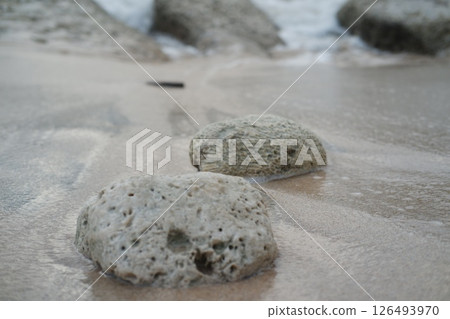 A Piece of Coral on White Sand A Piece of Coral on White Sand 126493970