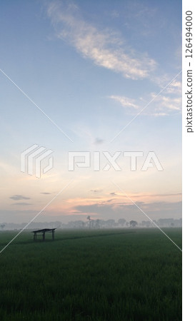 Peaceful Dawn over Rice Fields and Hut Peaceful Dawn over Rice Fields and Hut 126494000