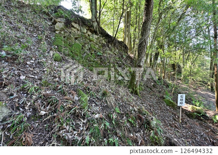 美濃國「大里城」-主城堡及其圍牆 美濃國「大里城」-主城堡及其圍牆 126494332
