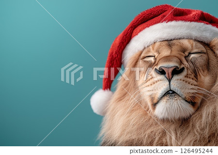 Majestic Lion in Santa Hat Smiling Cheerfully Majestic Lion in Santa Hat Smiling Cheerfully 126495244