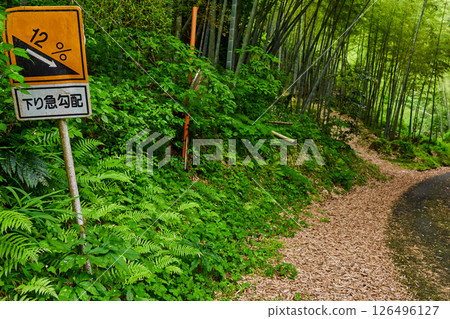 Steep downhill slope of 12% Steep downhill slope of 12% 126496127