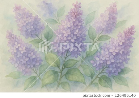 淡紫色的花 126496140