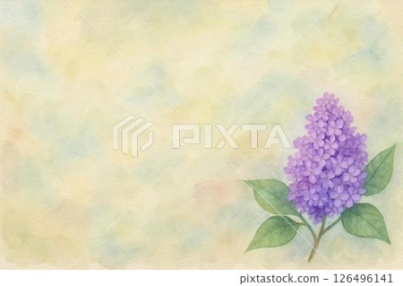 淡紫色的花 126496141