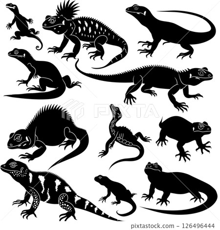 Collection of Silhouettes: Diverse Iguanas and Lizards Collection of Silhouettes: Diverse Iguanas and Lizards 126496444