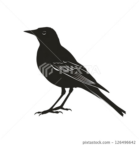 Elegant Black Bird Silhouette: A Study in Monochrome Avian Art 126496642