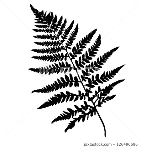 Elegant Fern Silhouette: A Botanical Masterpiece Elegant Fern Silhouette: A Botanical Masterpiece 126496696