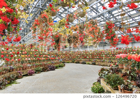 長野村海棠花園 126496720